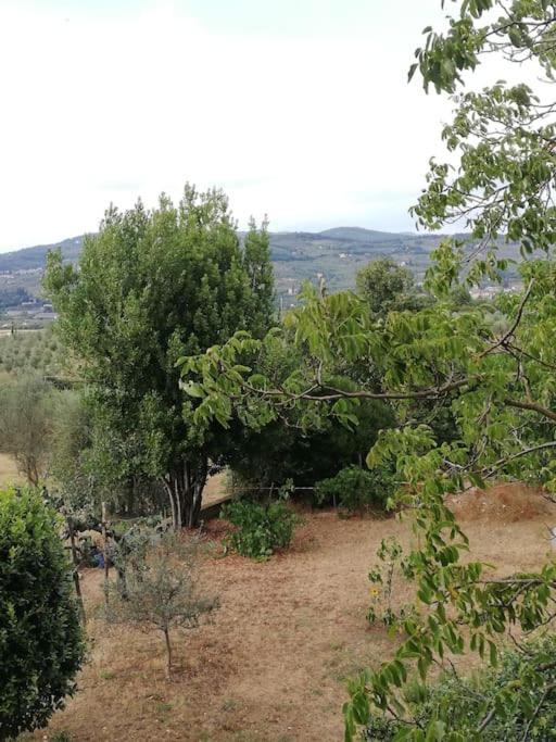 I Rosai Appartamento Sulle Colline Fiorentine Bagno A Ripoli Exterior photo